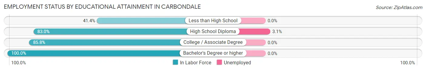 Employment Status by Educational Attainment in Carbondale
