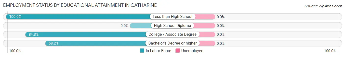 Employment Status by Educational Attainment in Catharine