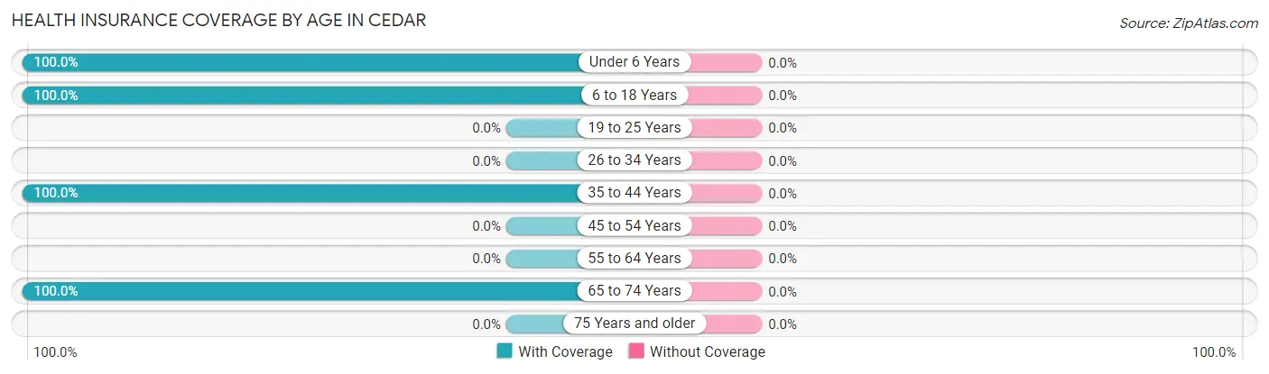 Health Insurance Coverage by Age in Cedar