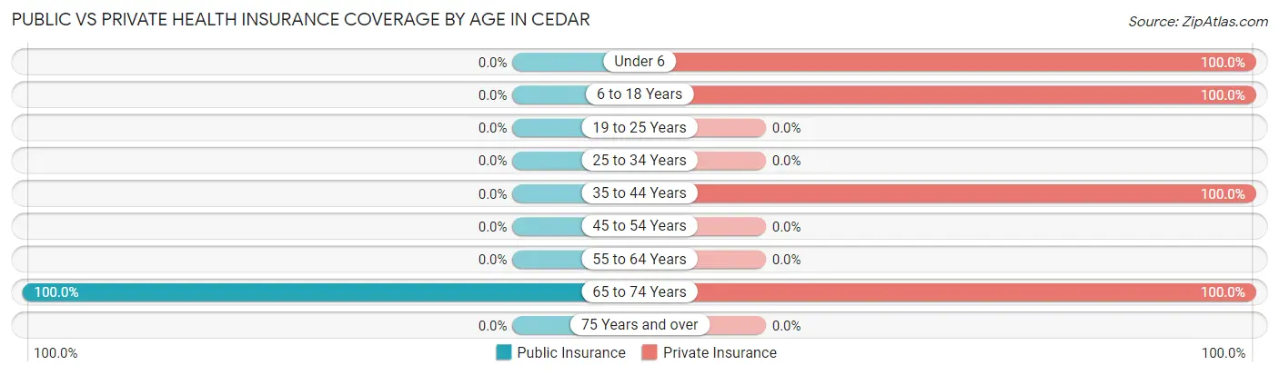 Public vs Private Health Insurance Coverage by Age in Cedar
