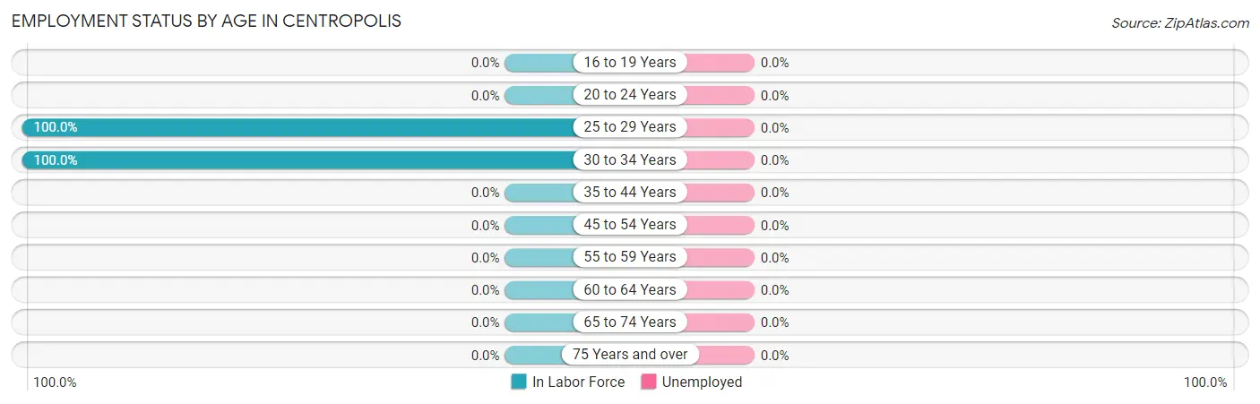 Employment Status by Age in Centropolis