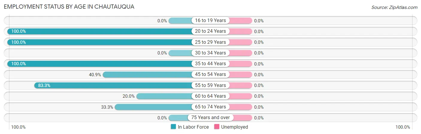 Employment Status by Age in Chautauqua
