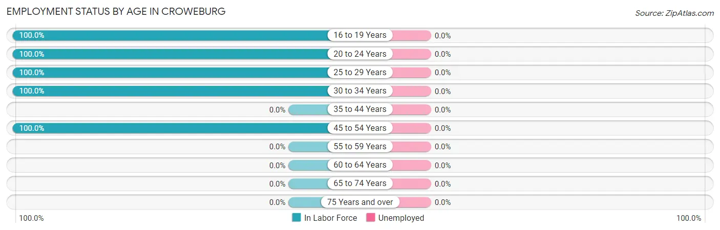 Employment Status by Age in Croweburg