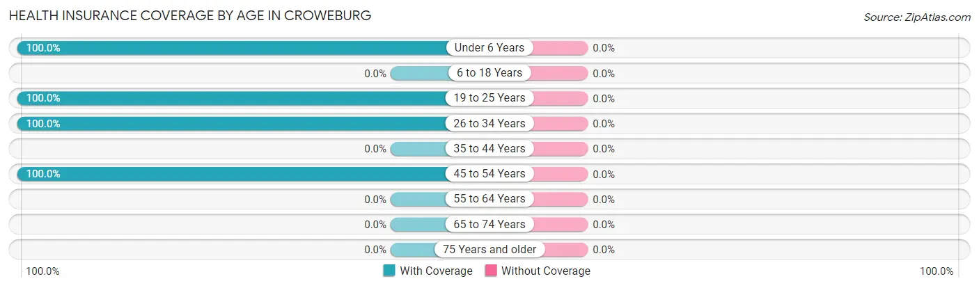 Health Insurance Coverage by Age in Croweburg