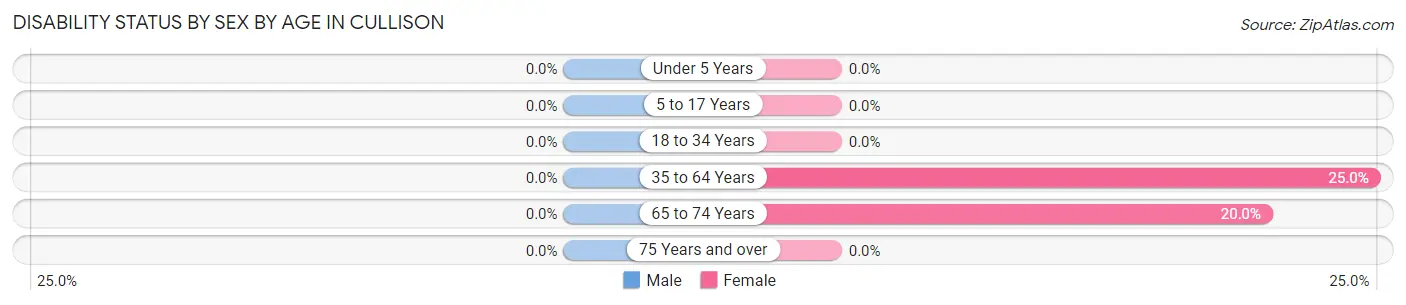 Disability Status by Sex by Age in Cullison