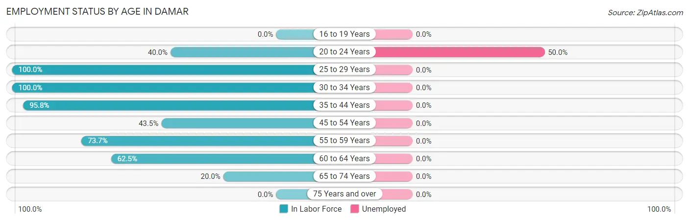 Employment Status by Age in Damar