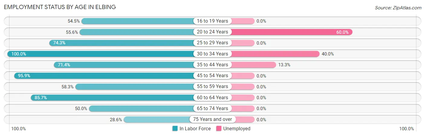 Employment Status by Age in Elbing