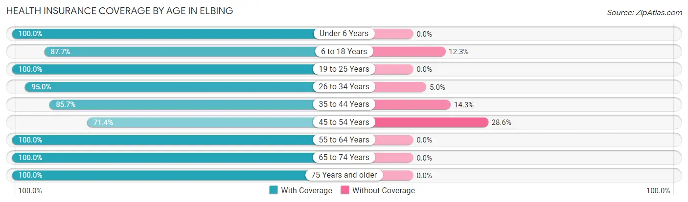 Health Insurance Coverage by Age in Elbing