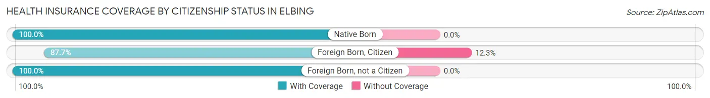Health Insurance Coverage by Citizenship Status in Elbing