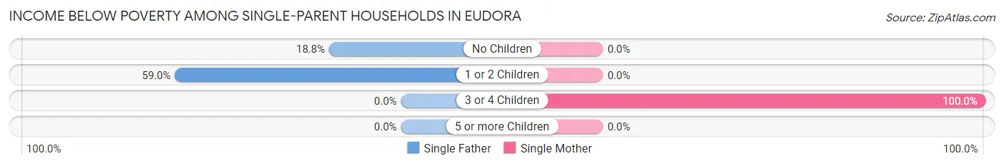 Income Below Poverty Among Single-Parent Households in Eudora