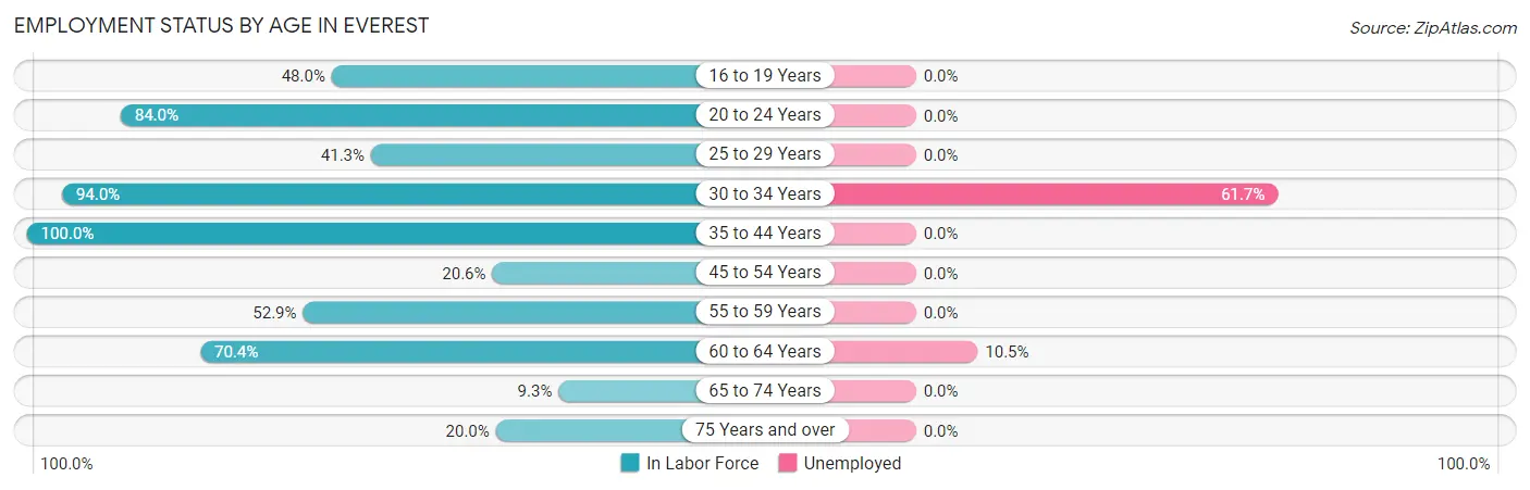 Employment Status by Age in Everest