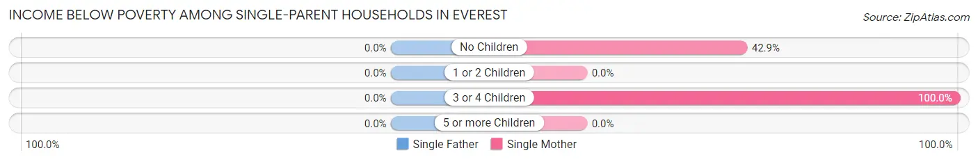 Income Below Poverty Among Single-Parent Households in Everest