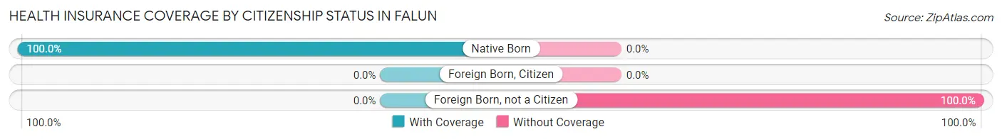 Health Insurance Coverage by Citizenship Status in Falun