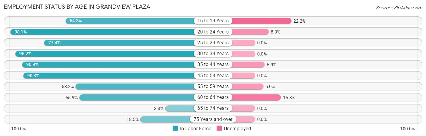Employment Status by Age in Grandview Plaza