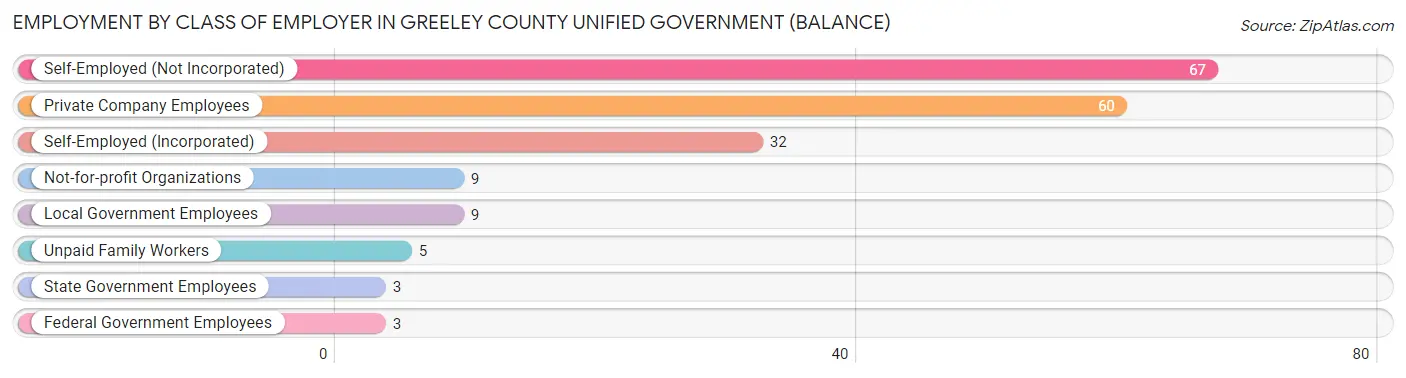 Employment by Class of Employer in Greeley County unified government (balance)