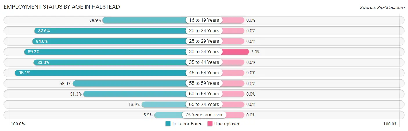 Employment Status by Age in Halstead