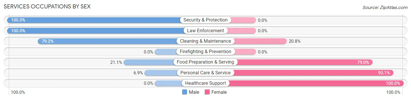 Services Occupations by Sex in Hill City