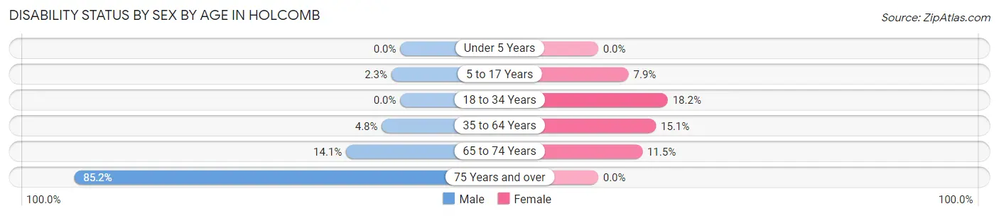 Disability Status by Sex by Age in Holcomb