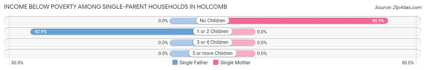 Income Below Poverty Among Single-Parent Households in Holcomb