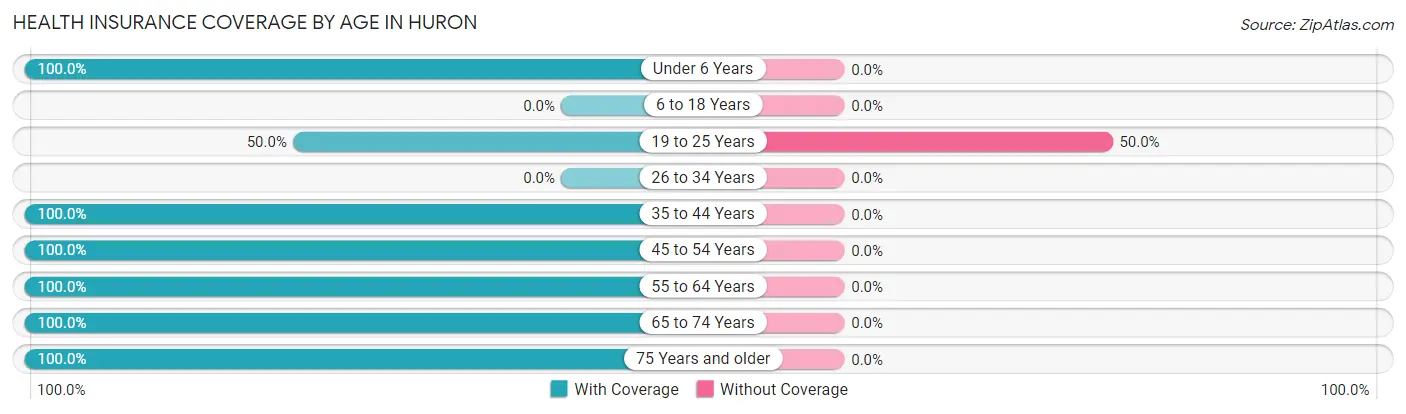 Health Insurance Coverage by Age in Huron