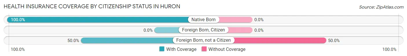 Health Insurance Coverage by Citizenship Status in Huron