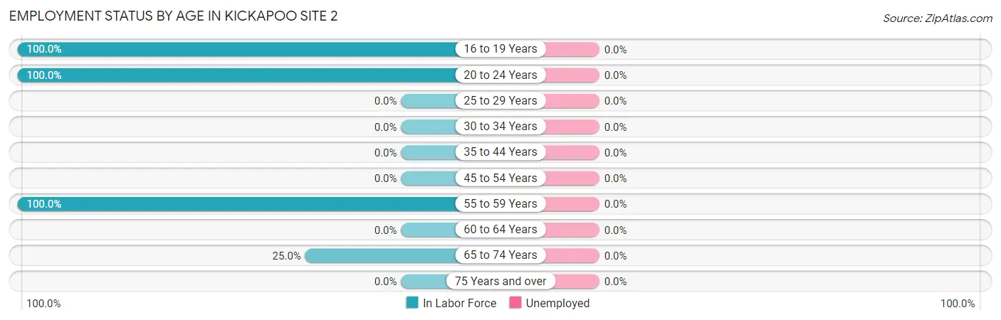 Employment Status by Age in Kickapoo Site 2