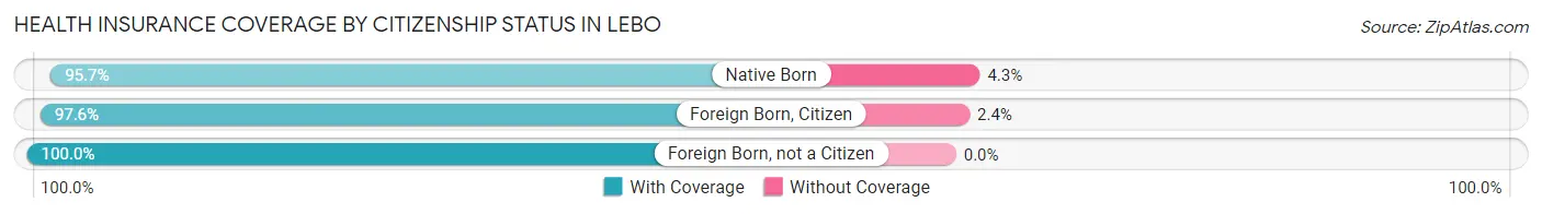 Health Insurance Coverage by Citizenship Status in Lebo