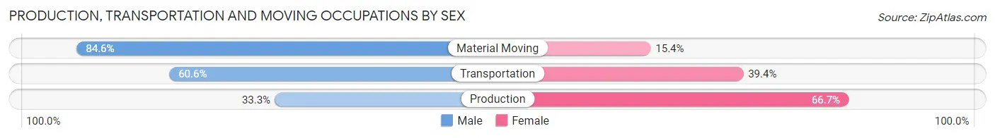 Production, Transportation and Moving Occupations by Sex in Lebo