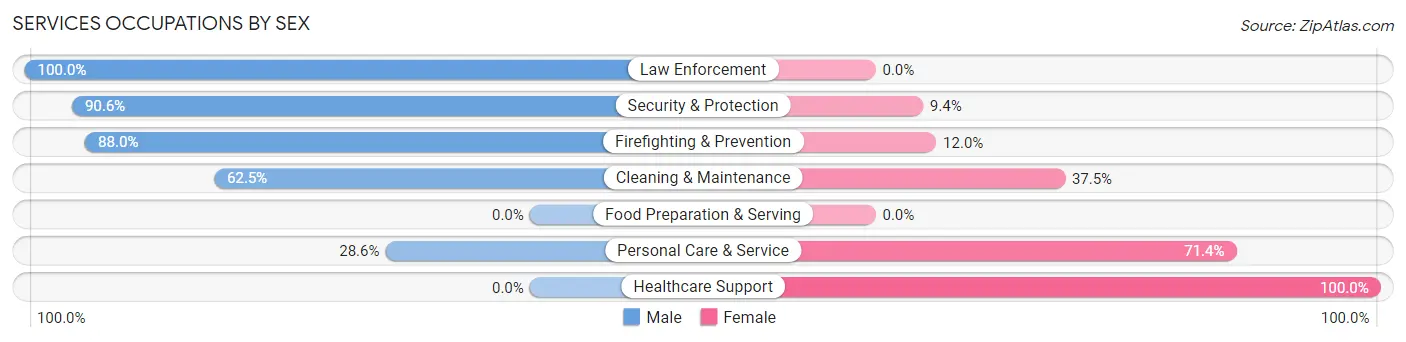 Services Occupations by Sex in Lebo