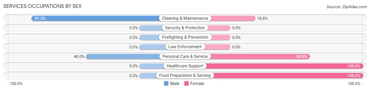 Services Occupations by Sex in Leon