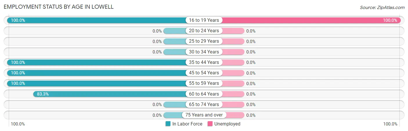 Employment Status by Age in Lowell