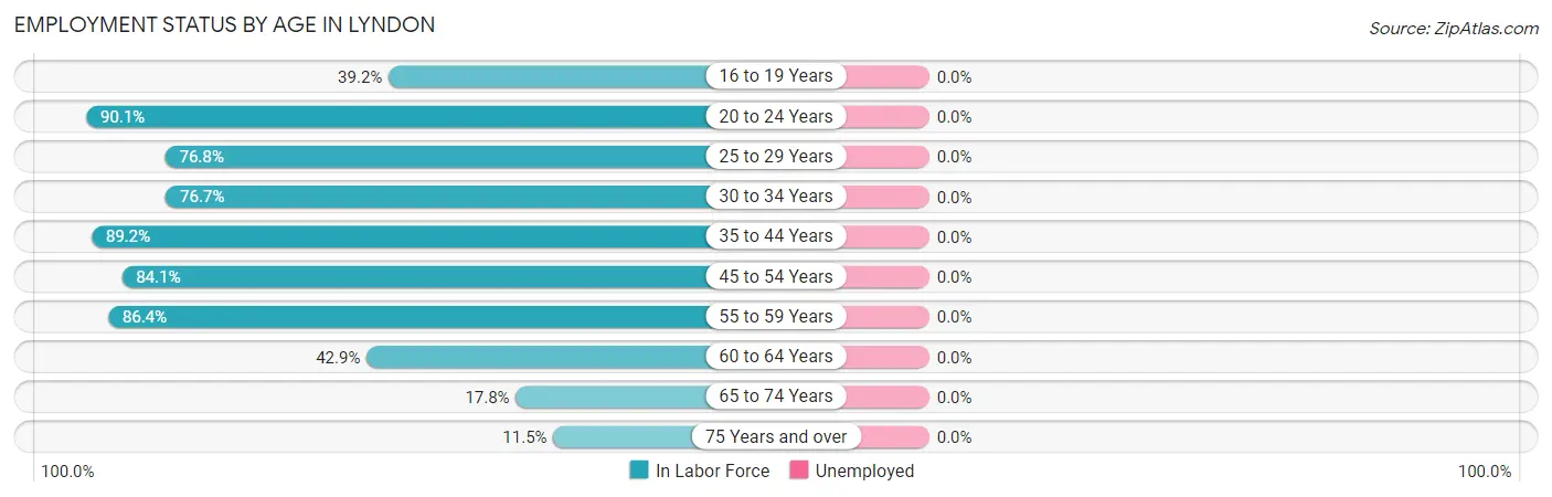 Employment Status by Age in Lyndon