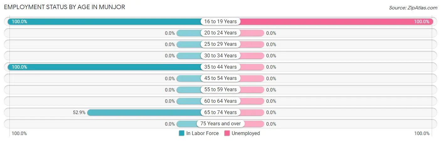 Employment Status by Age in Munjor