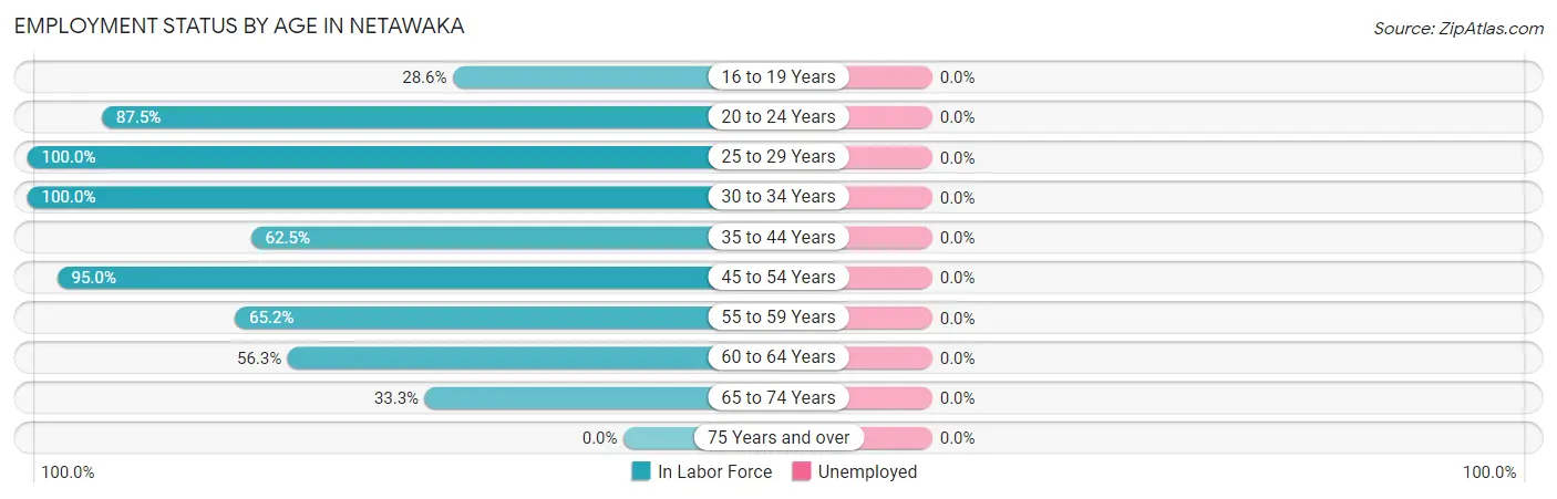 Employment Status by Age in Netawaka