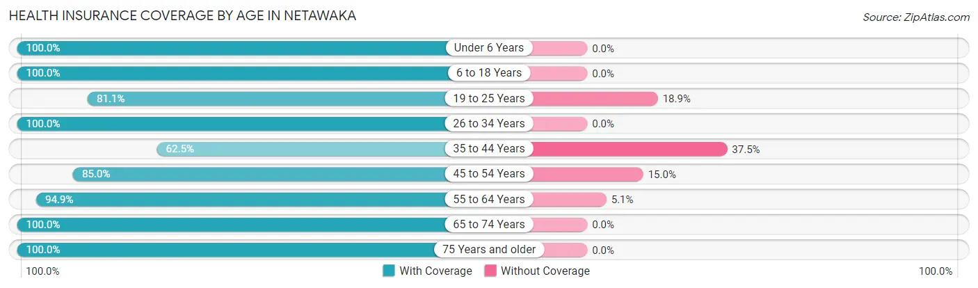 Health Insurance Coverage by Age in Netawaka