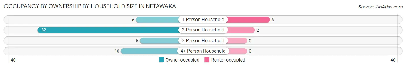 Occupancy by Ownership by Household Size in Netawaka
