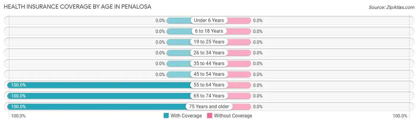 Health Insurance Coverage by Age in Penalosa