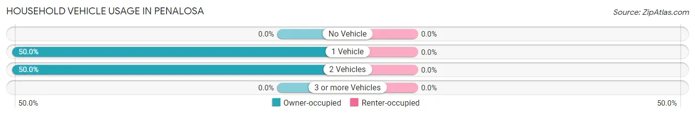 Household Vehicle Usage in Penalosa