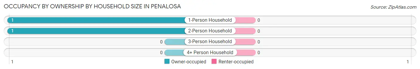 Occupancy by Ownership by Household Size in Penalosa
