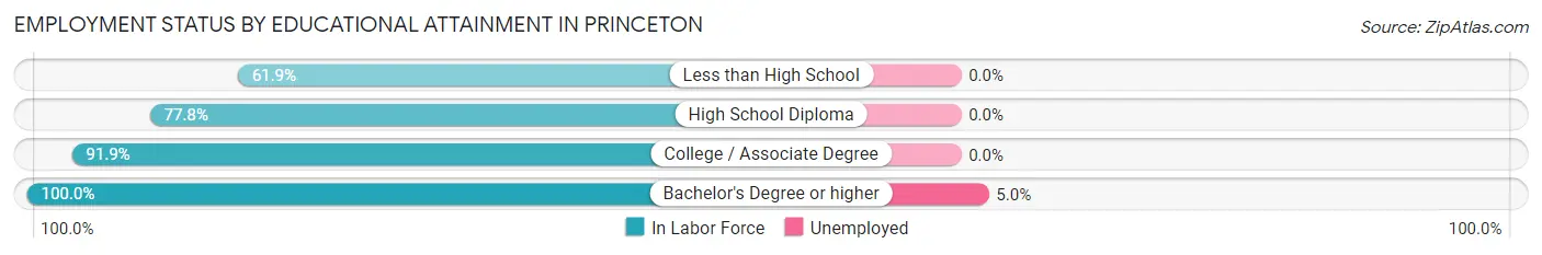 Employment Status by Educational Attainment in Princeton