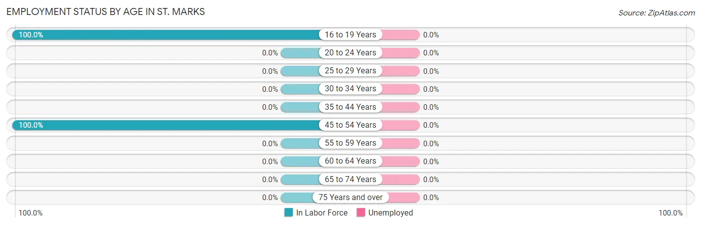 Employment Status by Age in St. Marks