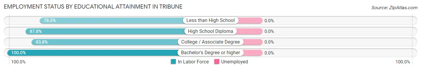 Employment Status by Educational Attainment in Tribune