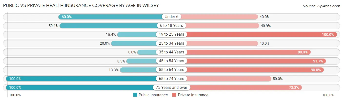 Public vs Private Health Insurance Coverage by Age in Wilsey