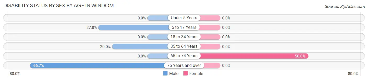 Disability Status by Sex by Age in Windom