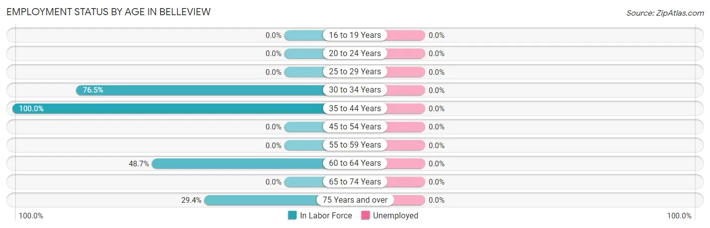 Employment Status by Age in Belleview