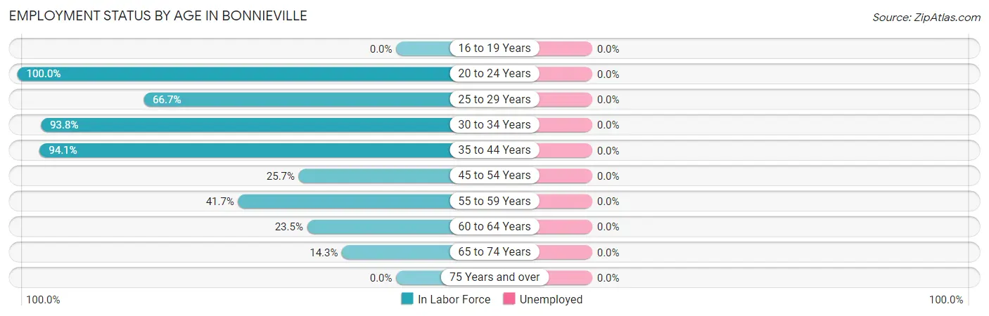 Employment Status by Age in Bonnieville