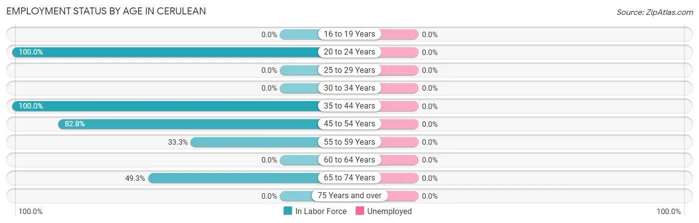 Employment Status by Age in Cerulean