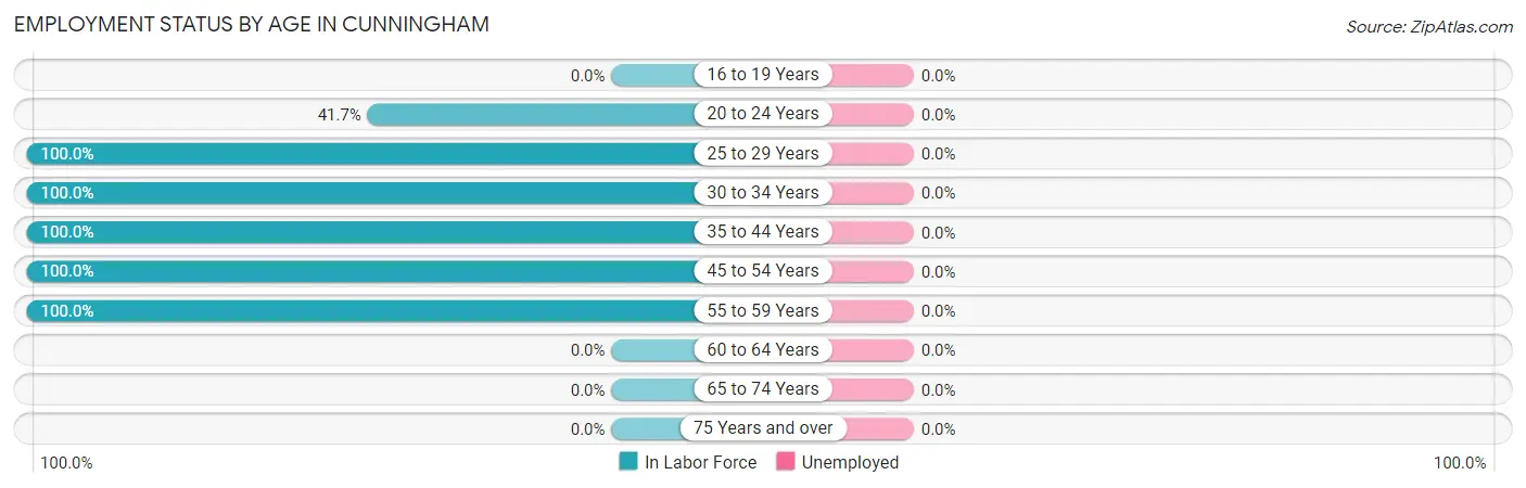 Employment Status by Age in Cunningham