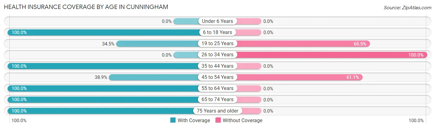 Health Insurance Coverage by Age in Cunningham