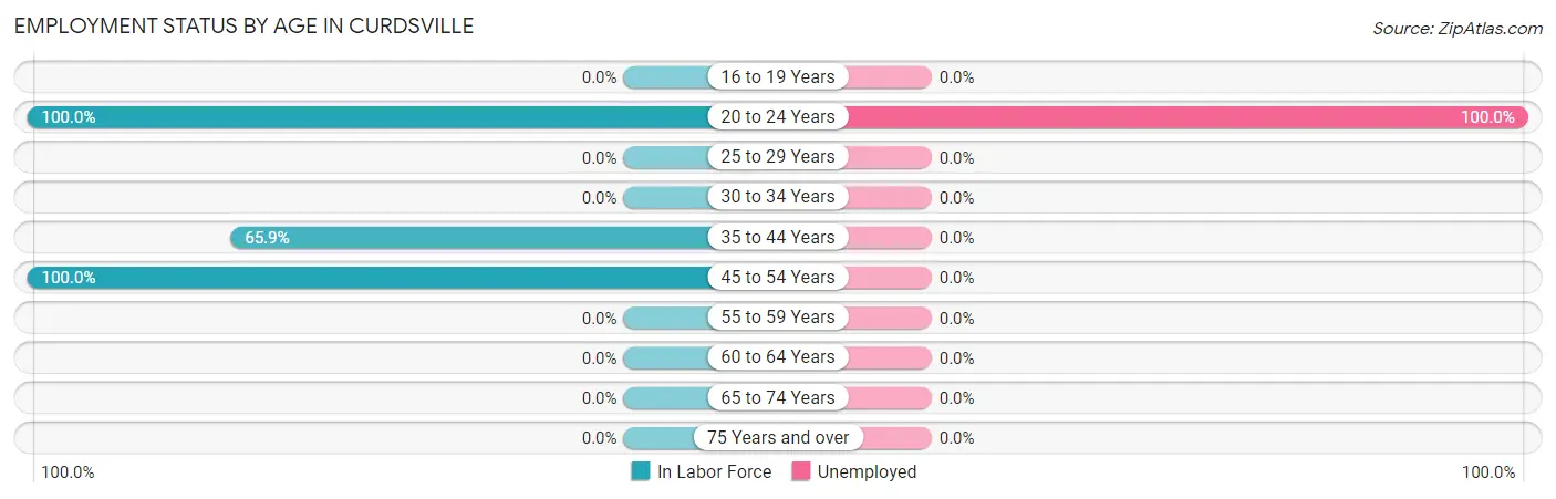Employment Status by Age in Curdsville